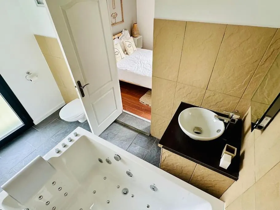 Appartement Ecrin balneo sauna à Thollon 0*, Thollon-les-Mémises France